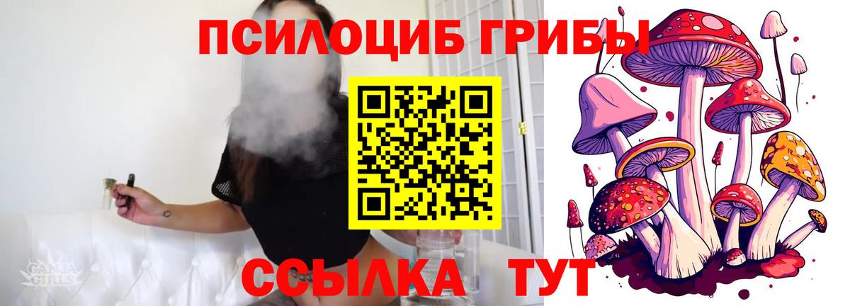 Назрань  Галлюциногенные грибы Magic Shrooms  Галлюциногенные грибы прущие грибы  Вход с VPN 